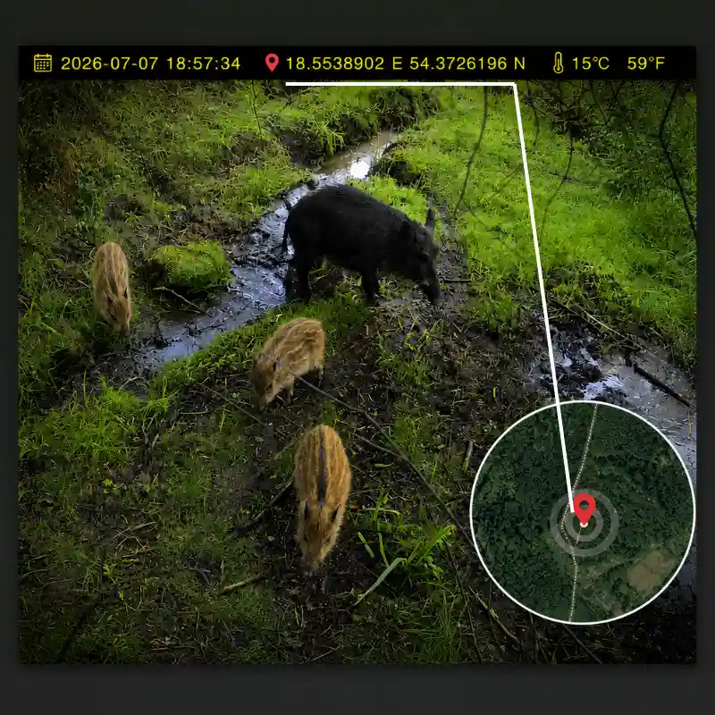 Fotopułapka GPS LEMON FOX współrzędne temperatura data godzina